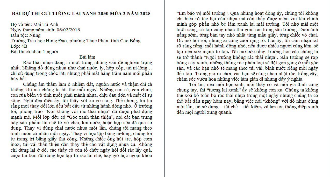 Mai Tú Anh